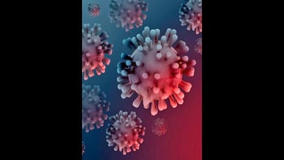 ಸಮುದಾಯಕ್ಕೆ ಹಬ್ಬಿದ ಸೋಂಕು:  ಕೊಚ್ಚಿಯಲ್ಲಿ ಜ್ವರವಿರುವ ಶೇ.30ರಷ್ಟು ಜನರಲ್ಲಿ ಕೋವಿಡ್ ಸೋಂಕು