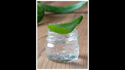 കരുത്തുള്ള മുടിയ്ക്ക് കറ്റാർവാഴ കൊണ്ടുള്ള ഹെയർ പാക്കുകൾ