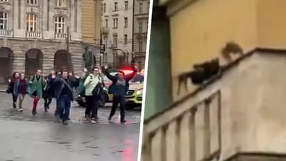 Prague university: Chilling videos of gunman David Kozak, who killed his father before mass shooting, go viral