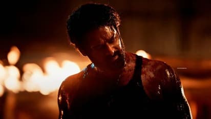 ఇంతకి `సలార్‌ 2` ఉంటుందా?.. ప్రశాంత్‌ నీల్‌ వెనక్కి తగ్గుతాడా?.. తాజా ఫలితంతో క్లారిటీ వచ్చినట్టే..