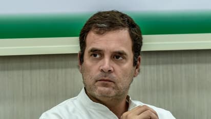 'കേരളത്തെ കണ്ട് മാതൃകയാക്കണം'; മറ്റ് സംസ്ഥാനങ്ങളോട് രാഹുൽ ഗാന്ധി, യൂത്ത് കോൺഗ്രസിന് അഭിനന്ദനം