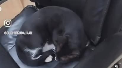 എന്നാലും ഇതെങ്ങനെ? സീനിയർ പൊലീസ് ഓഫീസറുടെ കസേരയിലിരിക്കുന്നത് ആരെന്ന് കണ്ടോ?