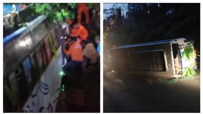 ശബരിമല പാതയിൽ രണ്ടപകടം; പുലർച്ചെ മിനി ബസ് തോട്ടിലേക്ക് മറിഞ്ഞു; ഏഴുപേർക്ക് പരിക്ക്