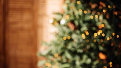 ആഹാ ഇത് കൊള്ളാമല്ലോ? ക്രിസ്‍മസ് കാലത്തെ ചില വ്യത്യസ്ത ആചാരങ്ങൾ പരിചയപ്പെടാം