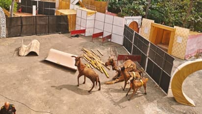 ആകെ രണ്ടേക്കര്, മഞ്ഞു മനുഷ്യരും ഹിമക്കരടികളും ആനയും പാമ്പും മുതലയും വരെ; തൃശൂരിൽ ഒരു ക്രിസ്മസ് ഗ്രാമം