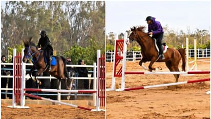 സൗദിയിലെ ആദ്യ ഹോഴ്സ് ജമ്പിങ് ചാമ്പ്യൻഷിപ്പിന് തുടക്കം