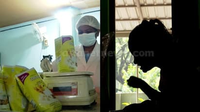 സബ്‌സിഡി ഗോതമ്പ് കിട്ടാനില്ല, കുടുംബശ്രീ യൂണിറ്റുകൾ പ്രവര്‍ത്തനം നിര്‍ത്തി; അമൃതം പൊടി വിതരണം പ്രതിസന്ധിയിൽ