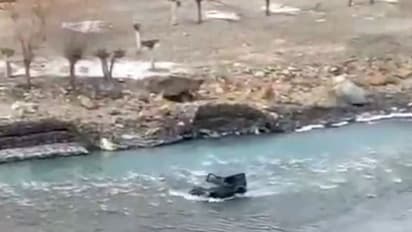 Viral video: Tourist drives Mahindra Thar SUV through river to beat Himachal traffic jam