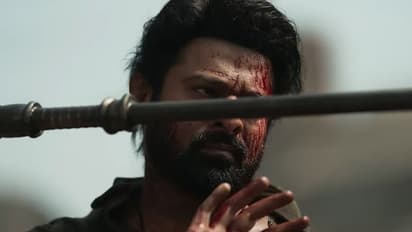 എന്താണ് സലാര്‍?, നിര്‍ണായക രംഗങ്ങളുമായി വീഡിയോ പുറത്തുവിട്ടു