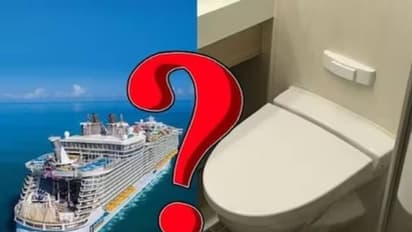 ഈ കൂറ്റൻ ആഡംബരക്കപ്പലുകളിലെ മാലിന്യമെല്ലാം എന്തുചെയ്യും? കടലിലൊഴുക്കുമോ?