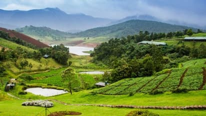OOTY : ஊட்டிக்கு டூர் போறீங்களா.? இந்த முக்கியமான இடத்திற்கு செல்ல தடை.! எத்தனை நாட்களுக்கு தெரியுமா.?