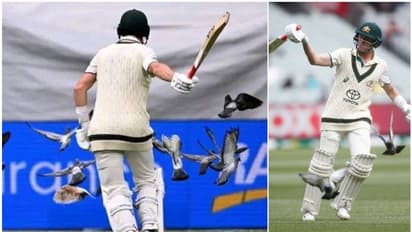 പ്രാവുകള്‍ക്കെന്താ ഇവിടെ കാര്യം? ആട്ടിവിട്ട് മര്‍നസ് ലബുഷെയ്ന്‍, വിടാതെ ഹസന്‍ അലി! ചിരി നിര്‍ത്താതെ സ്മിത്ത്