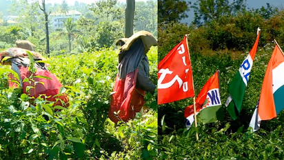 ​ശമ്പളമില്ല, തൊഴിലാളികൾക്ക് ദുരിതം, ആനുകൂല്യങ്ങൾ തടഞ്ഞ് എൽസ്റ്റൺ എസ്റ്റേറ്റ്, സമരം, കടുപ്പിച്ച് തൊഴിലാളികൾ