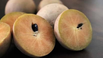 സപ്പോട്ട കഴിക്കാൻ ഇഷ്ടമാണോ? അറിയാം സപ്പോട്ട കഴിക്കുന്നത് കൊണ്ടുള്ള ഗുണങ്ങള്...