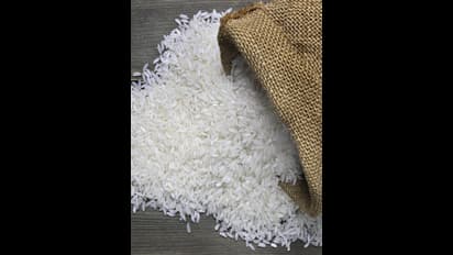 ಅಕ್ಕಿಯ ಈ ಪರಿಹಾರದಿಂದ ರಾತ್ರೋ ರಾತ್ರಿ ಅದೃಷ್ಟ ಖುಲಾಯಿಸುತ್ತೆ 