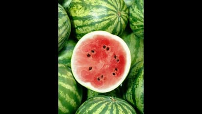 Diabetes : சர்க்கரை நோயாளிகள் தர்பூசணி சாப்பிடலாமா..? மீறினால் என்ன நடக்கும்..??