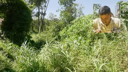 ಪ್ರಮುಖ ರಾಜಕೀಯ ನಾಯಕರಿಂದ ರಕ್ಷಿತಾರಣ್ಯ ಒತ್ತುವರಿ: ಸುಪ್ರೀಂಕೋರ್ಟಿಗೆ ಮೇಲ್ಮನವಿ ಸಲ್ಲಿಸಿದ ರವಿಚಂಗಪ್ಪ