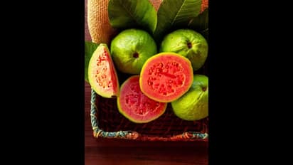 "சிவப்பு கொய்யா" சர்க்கரை நோயாளிகளுக்கு கடவுள் தந்த வரபிரசாதம்!  ஏன் தெரியுமா..?