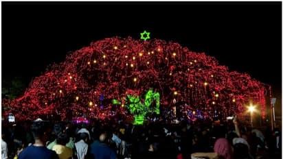 നിറങ്ങള് പെയ്തിറങ്ങിയ മഴമരം, ഫോർട്ട് കൊച്ചിയിലെ വെളിച്ചത്തിനെന്തു വെളിച്ചം !