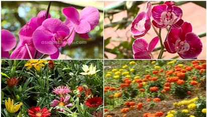 ஊட்டிக்கு போட்டியாக சென்னையில் மலர் கண்காட்சி.! எப்போது.? கட்டணம் எவ்வளவு தெரியுமா.?