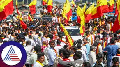 ಕನ್ನಡ ಸಂಘಟನೆಗಳನ್ನು ಒಗ್ಗೂಡಿಸಿದ ಫಲಕ ಚಳವಳಿ!