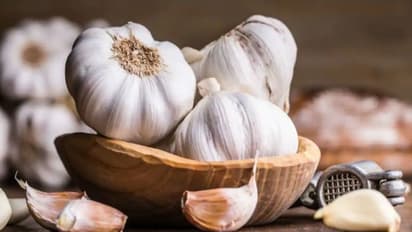 রসুন খাওয়া এদের জন্য বিপজ্জনক! মারাত্মক স্বাস্থ্য ঝুঁকি দেখা দিতে পারে