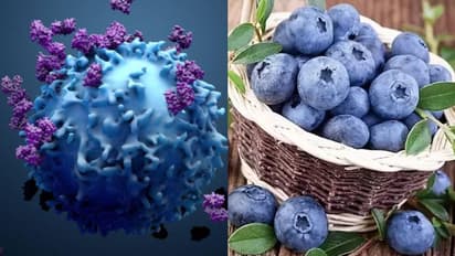 Health Tips: ക്യാന്സര് സാധ്യത കുറയ്ക്കുന്ന അഞ്ച് പഴങ്ങള്...