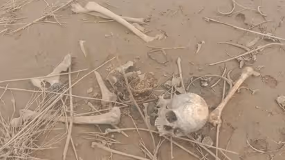 Karnataka: Skeleton found at Kunigal in Tumkur, investigation underway