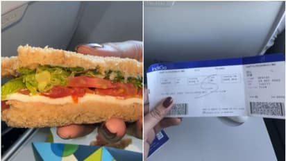 'വിമാനത്തിൽ വിളമ്പിയ സാന്ഡ്വിച്ചിൽ പുഴു, ജീവനക്കാരെ അറിയിച്ചിട്ടും വിതരണം തുടർന്നു'; മാപ്പ് പറഞ്ഞ് ഇൻഡിഗോ