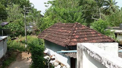 10 വർഷമായി വീട്ട് നമ്പർ പോലും ലഭിക്കാതാക്കിയ വൈദ്യുതി പോസ്റ്റ്; നവകേരള സദസിൽ പരിഹരിച്ച പാലക്കാട്ടെ ആദ്യ പരാതി