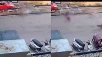 കൺമുന്നിൽ പിഞ്ചുബാലനെ കടിച്ച് കീറി തെരുവുനായ കൂട്ടം, പരിഗണിക്കാതെ വഴിയാത്രക്കാരന്, 6 വയസുകാരന് ഗുരുതര പരിക്ക്