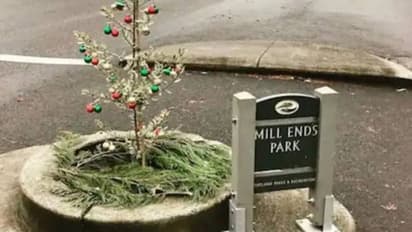 ഒന്ന് സ്വസ്ഥമായിരിക്കാൻ പോലും പറ്റില്ല, ഇതങ്ങനെയൊരു പാർക്ക്, ഇത്തിരിക്കുഞ്ഞൻ പാർക്കിന്റെ വിശേഷങ്ങളറിയാം