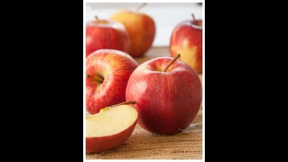 ദിവസവും ഒരു ആപ്പിൾ കഴിക്കണമെന്ന് പറയുന്നതിന്റെ കാരണം