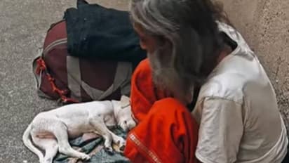 പണമുണ്ടായിട്ടെന്താ കാര്യം, നല്ല മനസില്ലെങ്കിൽ? ഞാൻ കഴിച്ചില്ലെങ്കിലും നായക്കുട്ടിയെ ഊട്ടുമെന്ന് ബാബാജി