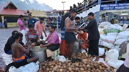 പമ്പയിൽ നിറച്ച് ട്രാക്ടറിൽ എത്തിച്ചു, ഓരോ മലയ്ക്കും 1001 വീതം, പുതുവത്സരത്തിൽ അയ്യപ്പന് 18018 നെയ്യഭിഷേകം