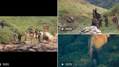 ಅಮ್ಮನಿಗಾಗಿ ಅಲೆದಾಡುತ್ತಿದ್ದ ಪುಟಾಣಿ ಮರಿಯಾನೆ: ಮತ್ತೆ ತಾಯಿ ಮಡಿಲು ಸೇರಿಸಿದ ಅರಣ್ಯ ಸಿಬ್ಬಂದಿ