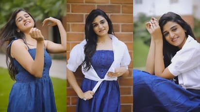 സോണിയായി പിന്‍മാറിയെങ്കിലും, പുതുവത്സരം ഗംഭീരമാക്കി ശ്രീശ്വേത മഹാലഷ്മി -വീഡിയോ