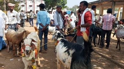 ವರ್ಷಾರಂಭ: ರೈತನಿಂದ ಬಂಪರ್ ಬೆಲೆಗೆ ಕುರಿ ಮಾರಾಟ