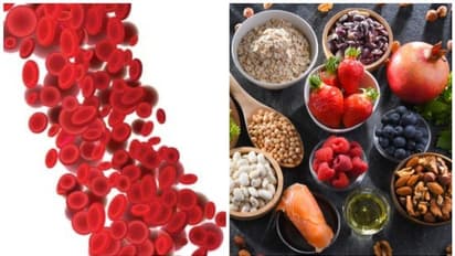 നല്ല കൊളസ്ട്രോൾ കൂട്ടണോ? എങ്കിൽ കഴിക്കൂ ഈ ഭക്ഷണങ്ങൾ