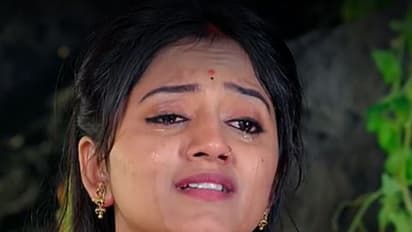 Naga Panchami  Serial Today Episode:ప్రాణ త్యాగం చేస్తున్న పంచమి, మోక్షను వలలో వేసుకుంటున్న మేఘన..!