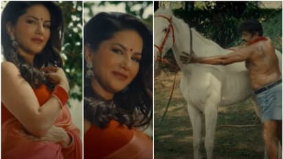 ഭീമന്റെ കുതിരയെ തടവല്, മോഹ നോട്ടവുമായി സണ്ണി- വീഡിയോ വൈറല്.!