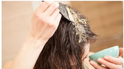 മുടികൊഴിച്ചിൽ കുറയ്ക്കാൻ പരീക്ഷിക്കാം നാല് ചേരുവകൾ ചേർത്തുള്ള നാച്ചുറൽ ഹെയർ പാക്ക്