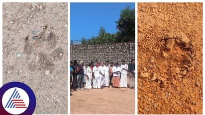 ತುಳುನಾಡಿನ ರೋಚಕ: ಮುಸ್ಲಿಂ ಯುವಕನ ಮೇಲೆ ದೈವ ಆವಾಹನೆ, ದೈವಸ್ಥಾನ ಕಾಮಗಾರಿ ಹೊತ್ತಲ್ಲಿ ಹುಲಿ ಹೆಜ್ಜೆ ಪವಾಡ!