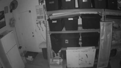 വീട്ടിൽ തനിച്ച്, അടച്ചിട്ട ഗാരേജിനകത്ത് പ്രേതം, സെക്യൂരിറ്റി ക്യാമറയിൽ ദൃശ്യങ്ങൾ, വീഡിയോ പങ്കുവച്ച് യുവാവ്!