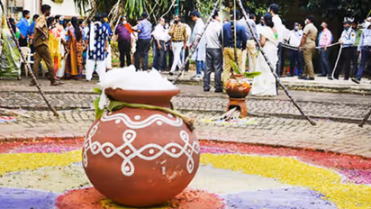 பொங்கல் 2024 : தேதி, வரலாறு, முக்கியத்துவம், கொண்டாட்டங்கள் மற்றும் பல...