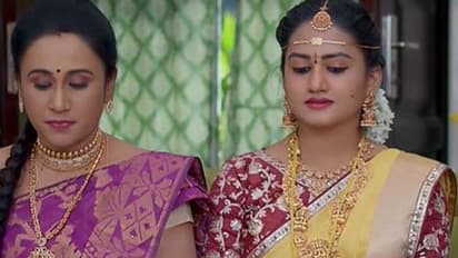 BrahmaMudi Serial 3rd December Episode:కావ్యకు బద్ధ శత్రువులా మారిన ధాన్యం..అనుకూలంగా మార్చుకున్న రుద్రాణి
