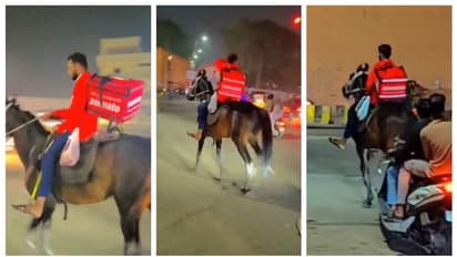 സവാരിയല്ല സാറേ...! ട്രക്ക് ഡ്രൈവർമാരുടെ പണിമുടക്കിന് പിന്നാലെ കുതിരപ്പുറത്ത് സെമാറ്റോ ഡെലിവറി ചെയ്യുന്ന യുവാവ്