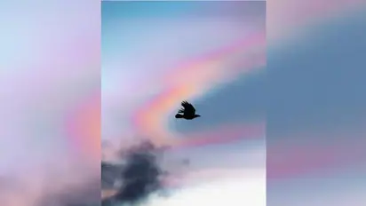 Scotland's rare spectacle: Viral video showcases mesmerizing 'rainbow clouds' illuminating the sky (WATCH)