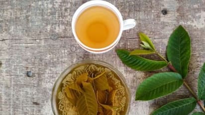 പേരയിലയിട്ട് തിളപ്പിച്ച വെള്ളം കുടിക്കൂ; ഈ രോഗത്തെ അകറ്റാം...