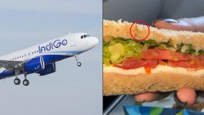 'ചിക്കൻ സാൻഡ്‍വിച്ചിൽ ജീവനുള്ള പുഴു, മാപ്പുകൊണ്ട് തീർന്നില്ല'; ഇൻഡിഗോയ്ക്ക് നോട്ടീസയച്ച് എഫ്എസ്എസ്എഐ